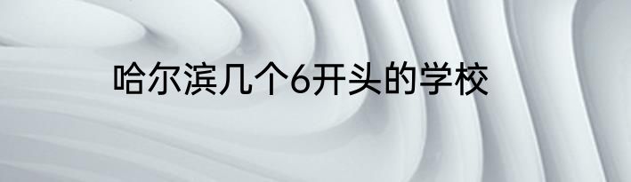 哈尔滨几个6开头的学校