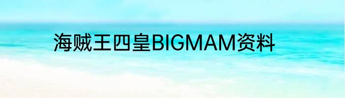 海贼王四皇BIGMAM资料