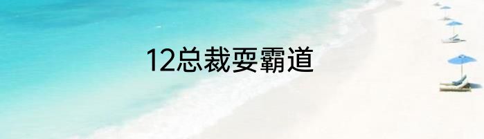 12总裁耍霸道