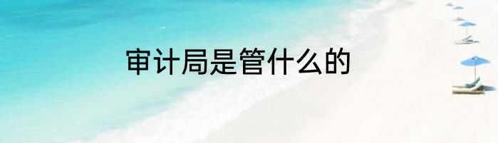 审计局是管什么的
