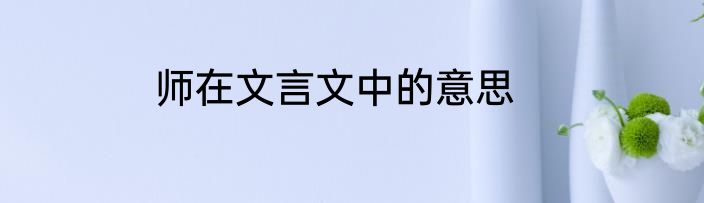 师在文言文中的意思