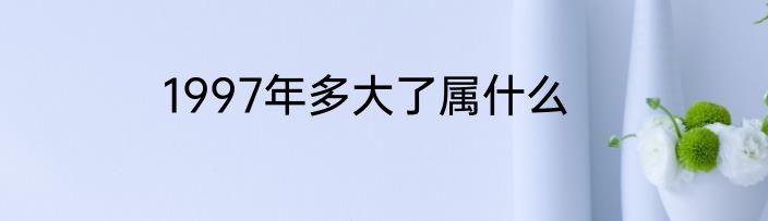 1997年多大了属什么