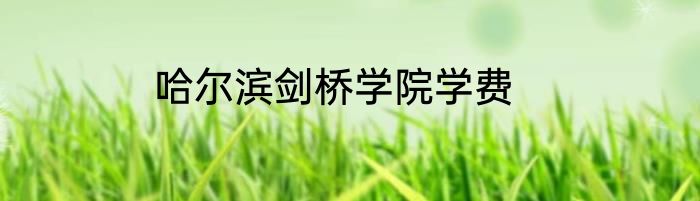 哈尔滨剑桥学院学费