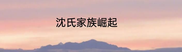 沈氏家族崛起