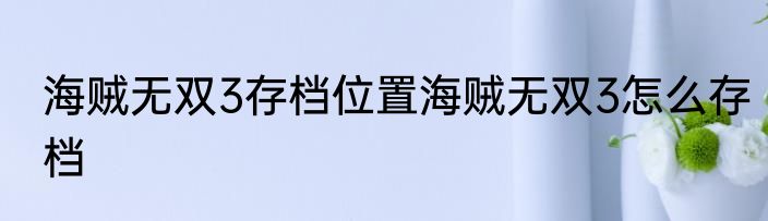 海贼无双3存档位置海贼无双3怎么存档