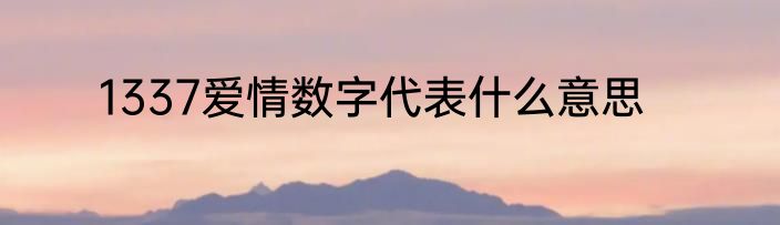 1337爱情数字代表什么意思