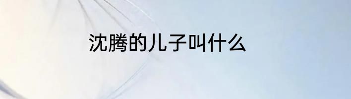 沈腾的儿子叫什么