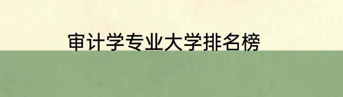 审计学专业大学排名榜