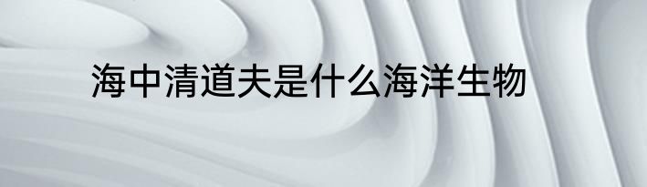 海中清道夫是什么海洋生物