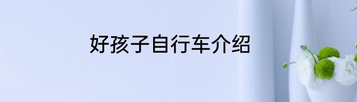 好孩子自行车介绍