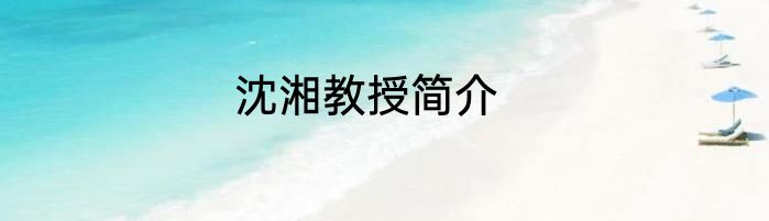 沈湘教授简介