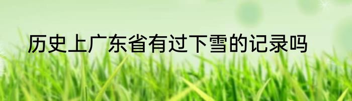 历史上广东省有过下雪的记录吗