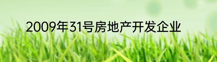 2009年31号房地产开发企业