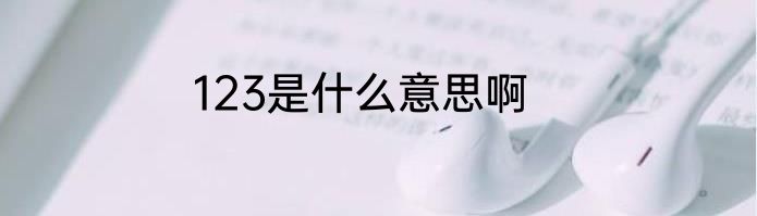 123是什么意思啊