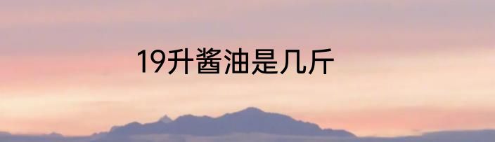 19升酱油是几斤