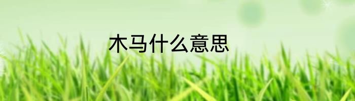 木马什么意思