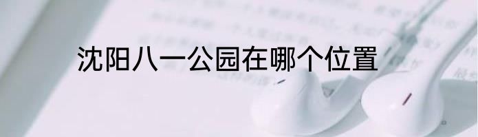 沈阳八一公园在哪个位置