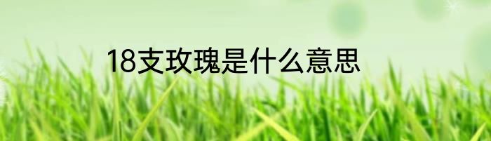 18支玫瑰是什么意思