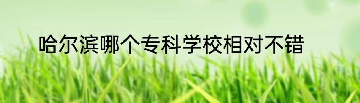 哈尔滨哪个专科学校相对不错
