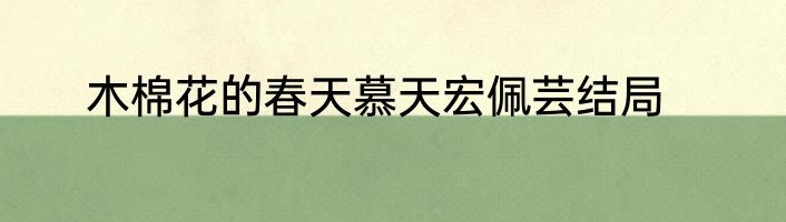 木棉花的春天慕天宏佩芸结局
