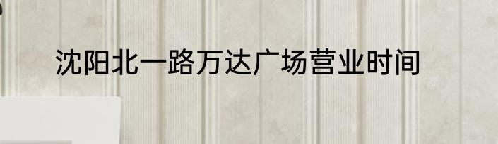 沈阳北一路万达广场营业时间