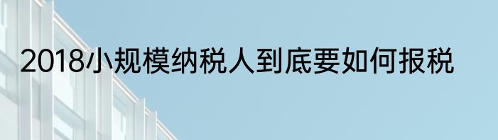 2018小规模纳税人到底要如何报税
