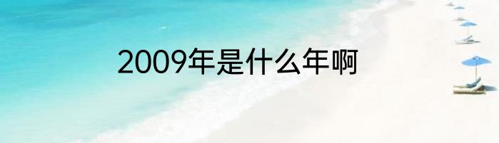 2009年是什么年啊