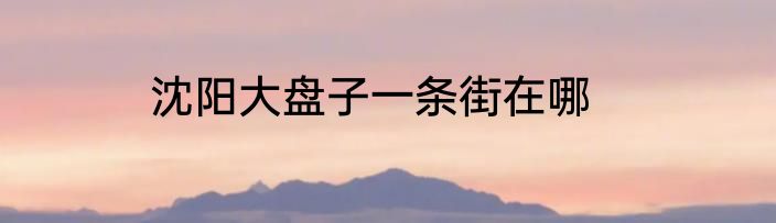 沈阳大盘子一条街在哪