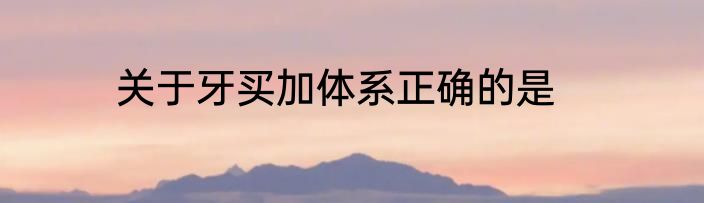 关于牙买加体系正确的是
