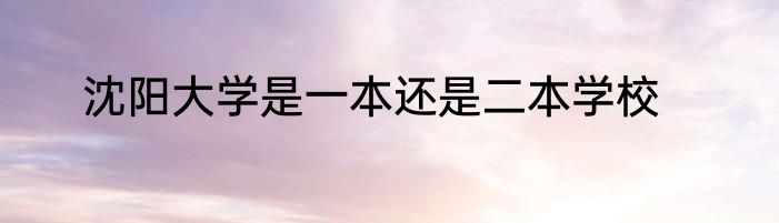 沈阳大学是一本还是二本学校