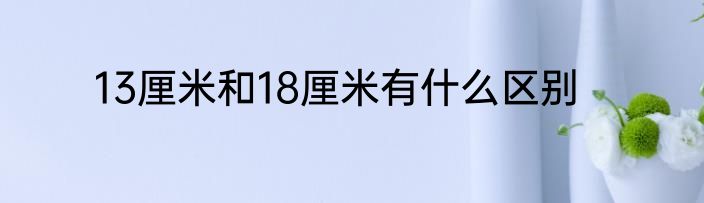 13厘米和18厘米有什么区别