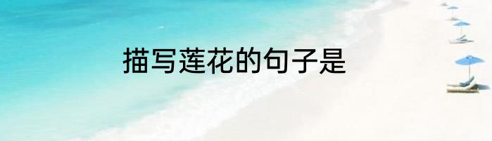 描写莲花的句子是