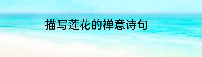 描写莲花的禅意诗句