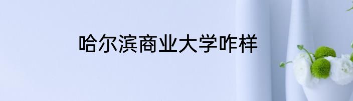 哈尔滨商业大学咋样