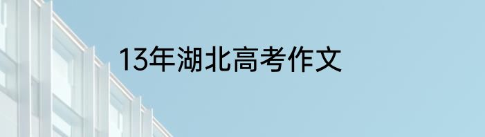 13年湖北高考作文