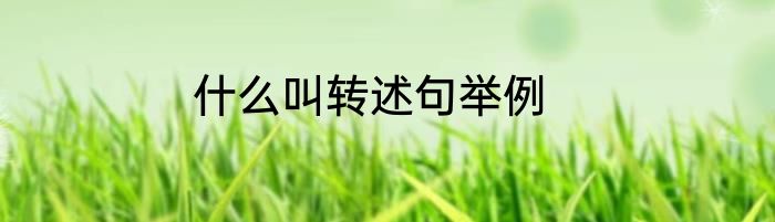 什么叫转述句举例