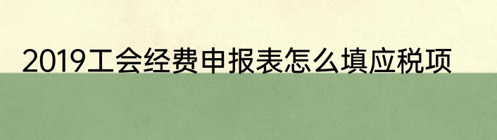 2019工会经费申报表怎么填应税项
