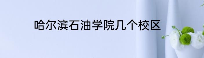 哈尔滨石油学院几个校区