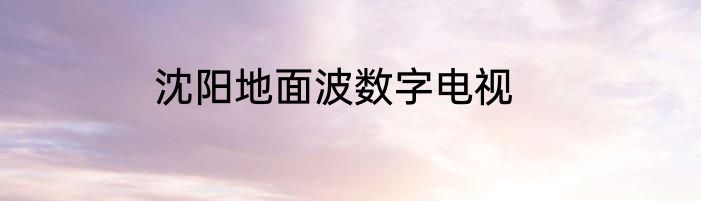 沈阳地面波数字电视