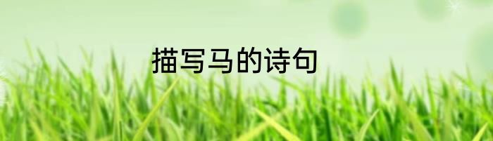 描写马的诗句