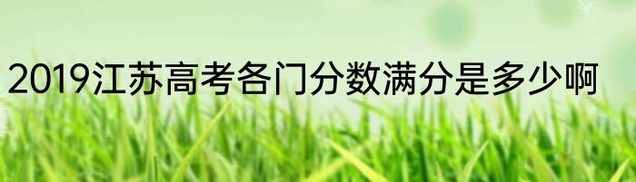 2019江苏高考各门分数满分是多少啊
