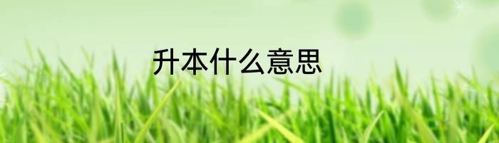 升本什么意思