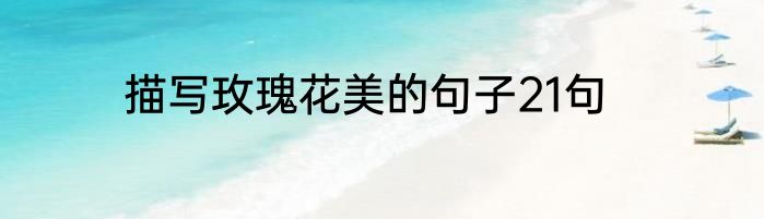 描写玫瑰花美的句子21句