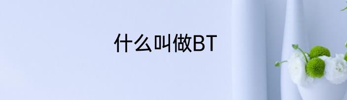 什么叫做BT