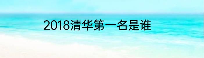 2018清华第一名是谁