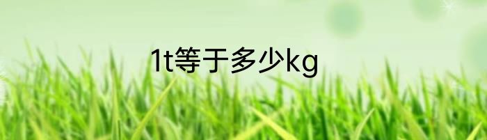 1t等于多少kg