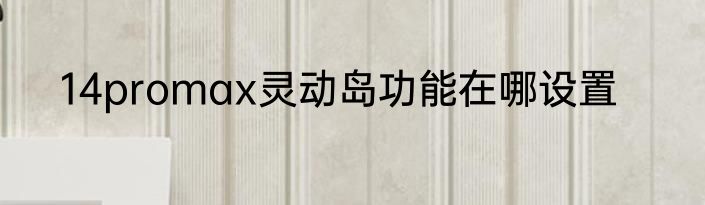 14promax灵动岛功能在哪设置