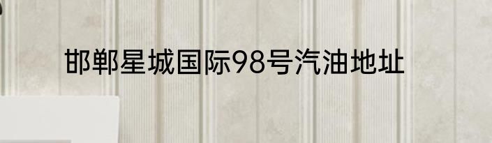邯郸星城国际98号汽油地址