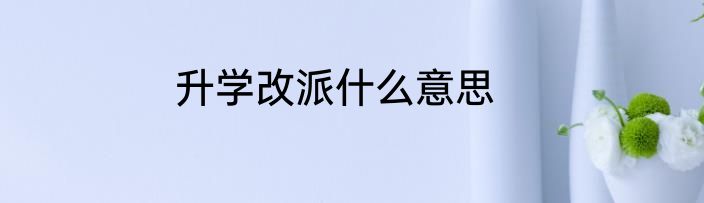 升学改派什么意思