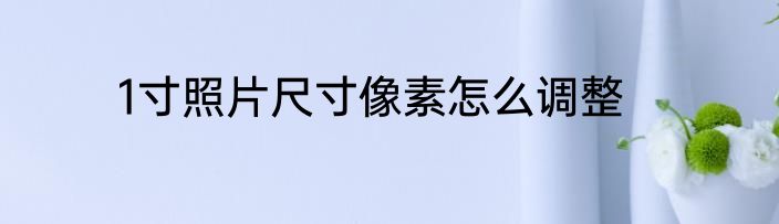 1寸照片尺寸像素怎么调整